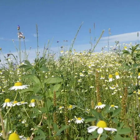 Feriehus Elegant Stay, Comblain-fairon *